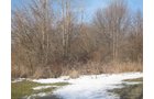 Property photo 5 - 1900's All Brick Home, Metal Frame Barn on 3.42 Acres